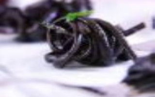 Bavette Al Nero Di Seppia