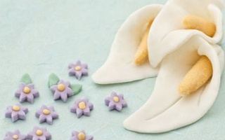 Pasta Di Zucchero