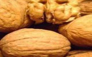 Salsa Alle Noci