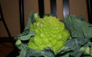 Fusilli Al Cavolfiore